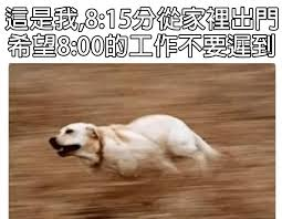 Pasted image 20250305142803
