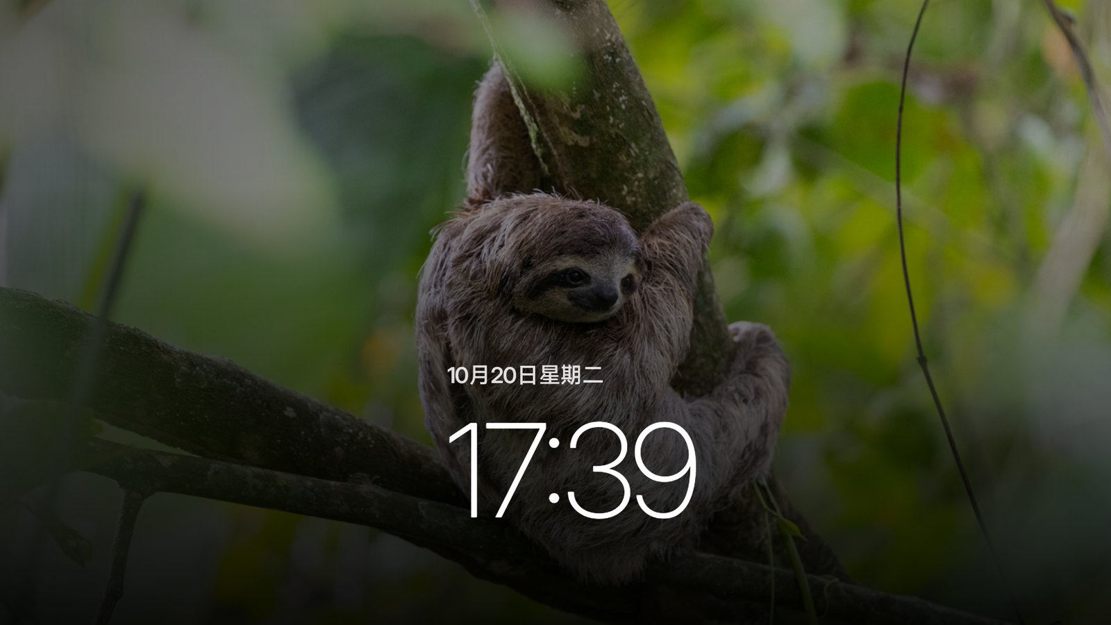 如果不使用视频屏保，也可以切换为照片轮播或带景深壁纸的大字号时钟屏保
